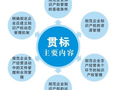 什么是「知識產(chǎn)權(quán)貫標(biāo)」？