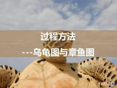 IATF16949中的烏龜圖和章魚圖
