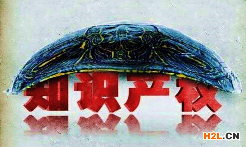 新西蘭商標注冊