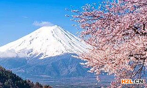 日本商標注冊