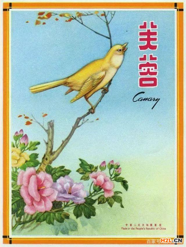 芙蓉