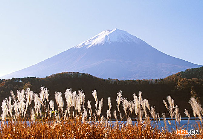 日本商標(biāo)注冊(cè)