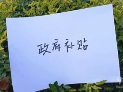 定西求職創業補貼申領什么時間辦
