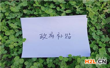 隴南傷殘待遇申領什么時間辦