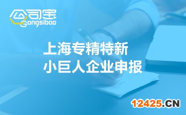 上海專精特新小巨人企業申報