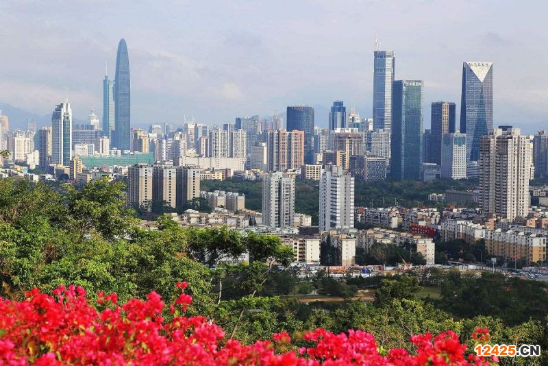 2022年深圳國家級專精特新小巨人企業申報