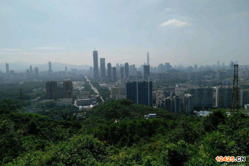 2022年深圳專精特新中小企業申報材料