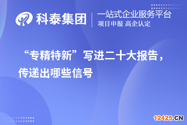“專精特新”寫進二十大報告，傳遞出哪些信號