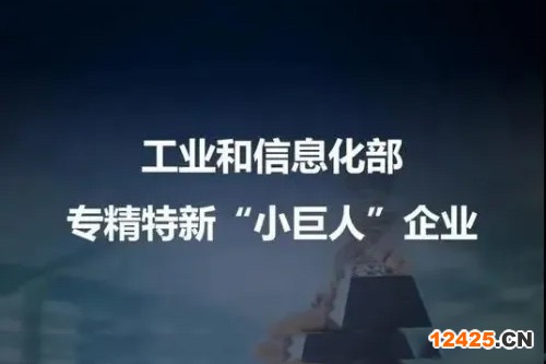 專精特新“小巨人”撐起大創新