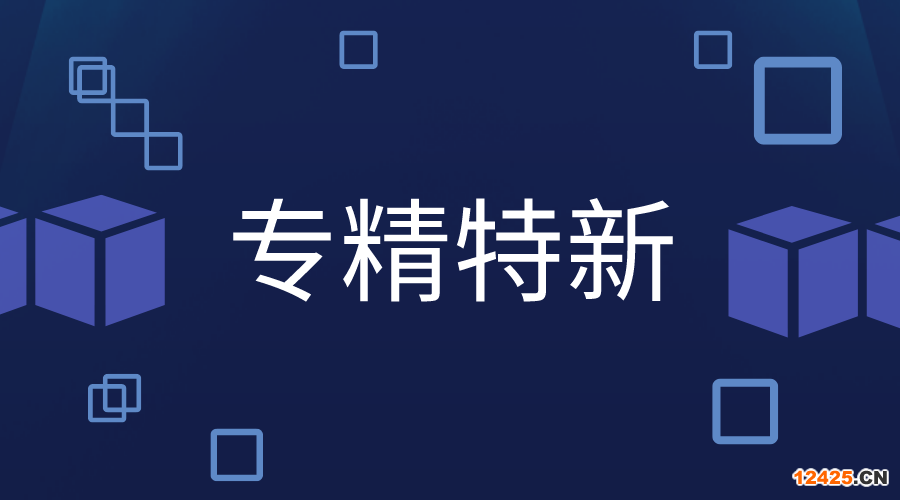 專精特新申報