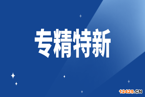 廣東省深化支持專精特新企業融資服務行動計劃