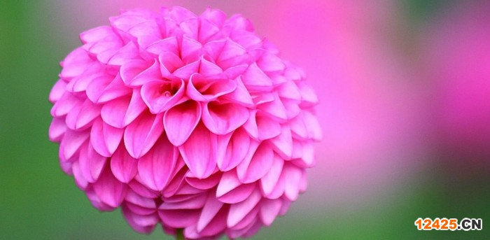 雙鴨山iso食品認證