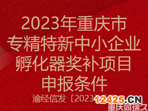 2023年重慶市專精特新中小企業孵化器獎補項目申報條件(圖1) 2023年重慶市專精特新中小企業孵化器獎補項目申報條件(圖1)