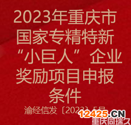 2023年重慶市國家專精特新“小巨人”企業獎勵項目申報條件(圖1)