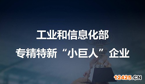 專精特新“小巨人”企業(yè)申請