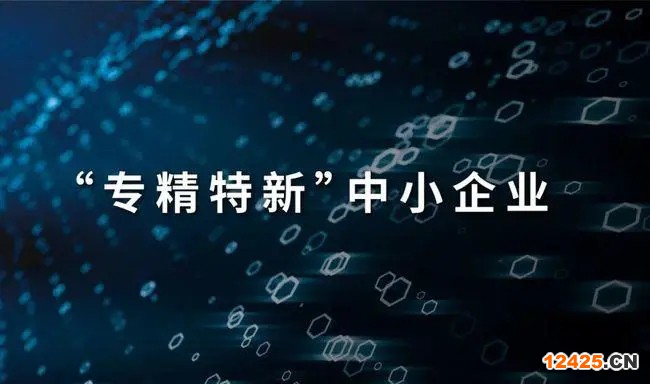 專精特新小巨人企業(yè)