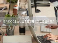 SA8000企業社會責任管理體系認證證書簡介