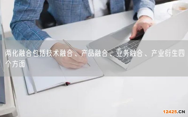 兩化融合包括技術融合、產品融合、業務融合、產業衍生四個方面(5)