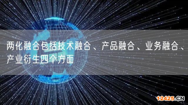 兩化融合包括技術融合、產品融合、業務融合、產業衍生四個方面(10)