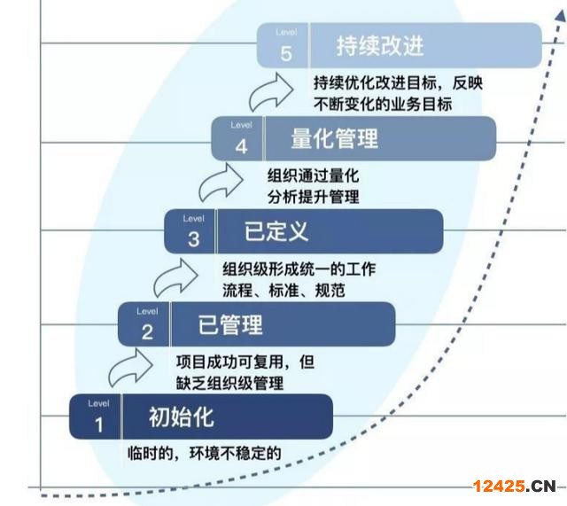 數據管理能力成熟度評估模型標準（數字化成熟度評估模型一文讀盡）(14)