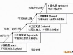 數(shù)據(jù)管理能力成熟度評(píng)估模型標(biāo)準(zhǔn)（數(shù)字化成熟度評(píng)估模型一文讀盡）