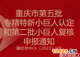 重慶市第五批專精特新小巨人認定和第二批小巨人復核申報通知(圖1)
