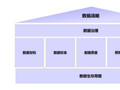 數(shù)據(jù)管理能力成熟度(DCMM)評(píng)估