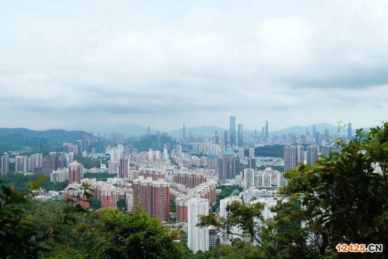 2023年深圳易聯(lián)眾特新小巨人