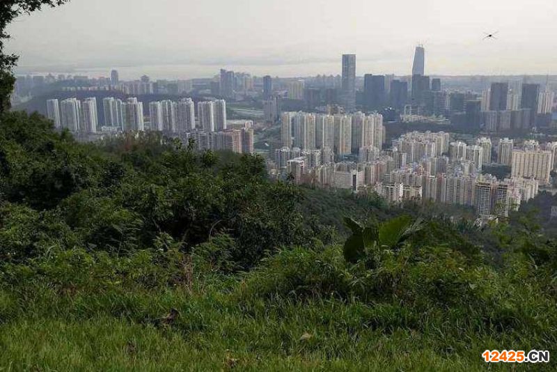 2023年深圳南山鋁業是特新企業