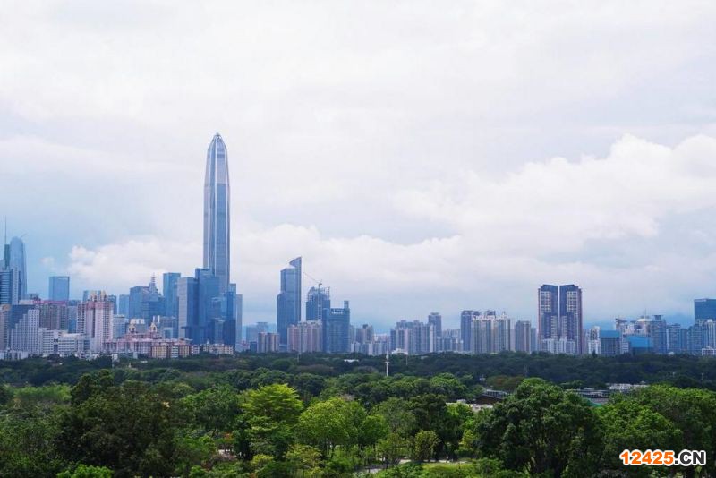 2023年深圳小升規審核時間