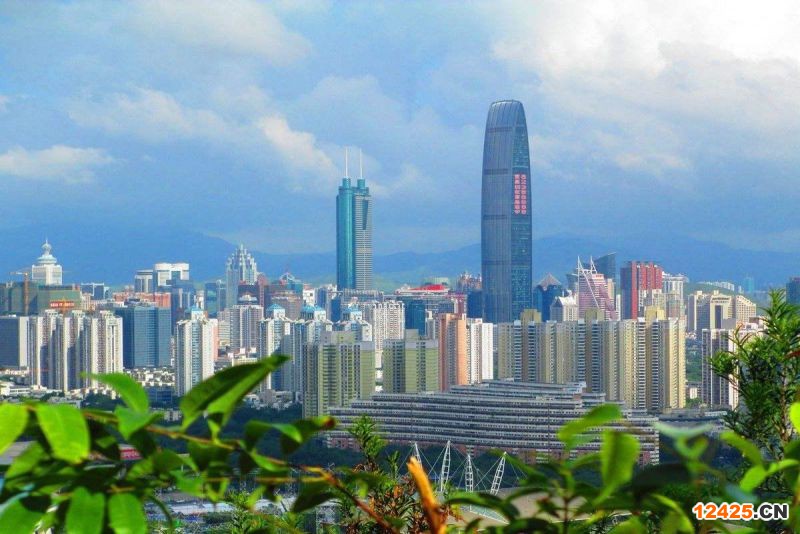 2023年深圳哪些是特新企業
