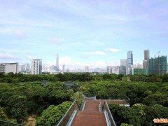 2023年深圳工業小升規政策措施