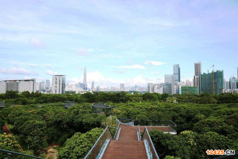 2023年深圳工業小升規政策措施