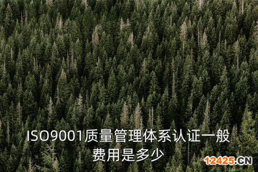 ISO9001質(zhì)量管理體系認證一般費用是多少