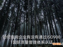 想查一個單位是不是當地首家獲得ISO9001國際管理體系認證的單位