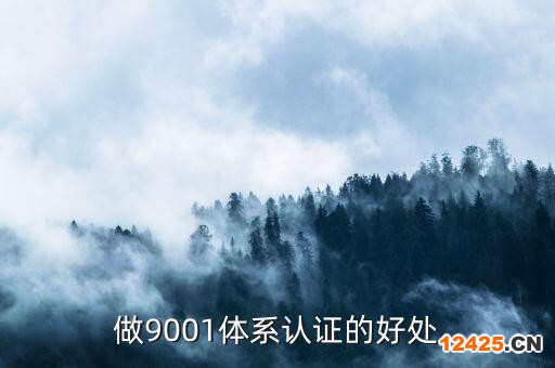 做9001體系認證的好處