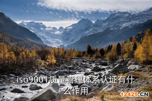 iso9001質量管理體系認證有什么作用