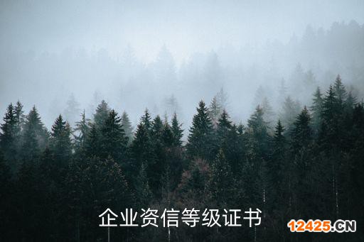 企業資信等級證書