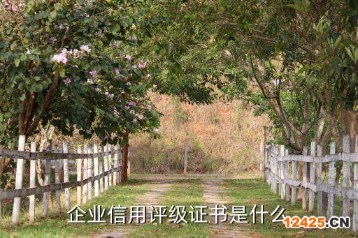 企業信用評級證書是什么
