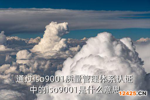 通過iso9001質量管理體系認證中的iso9001是什么意思