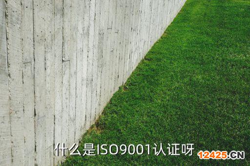 什么是ISO9001認證呀