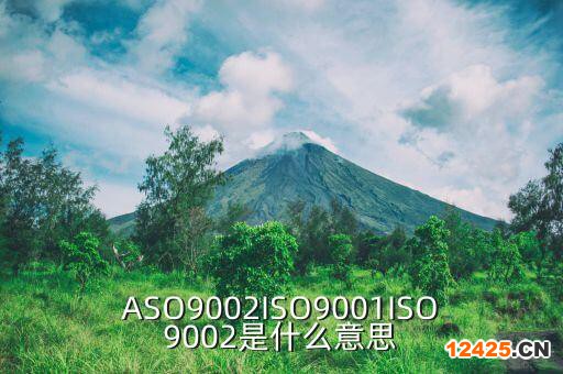 ASO9002ISO9001ISO9002是什么意思