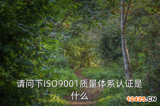 請問下ISO9001質(zhì)量體系認證是什么
