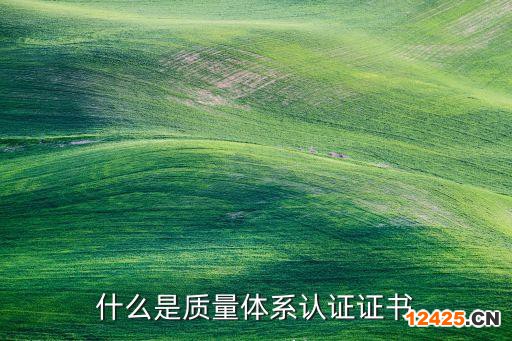 什么是質(zhì)量體系認證證書
