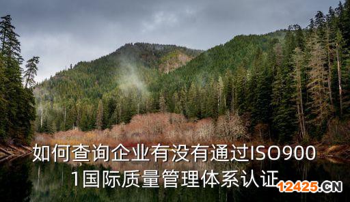 如何查詢企業(yè)有沒有通過ISO9001國際質(zhì)量管理體系認(rèn)證