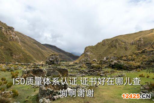 IS0質(zhì)量體系認(rèn)證 證書好在哪兒查詢啊謝謝