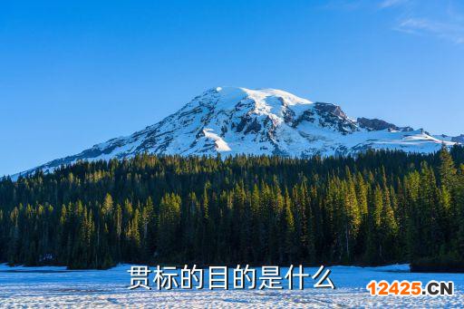 貫標的目的是什么