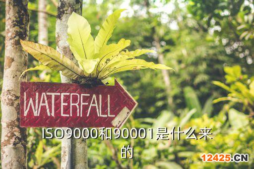 ISO9000和90001是什么來的