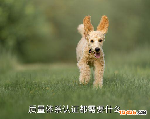 質量體系認證都需要什么