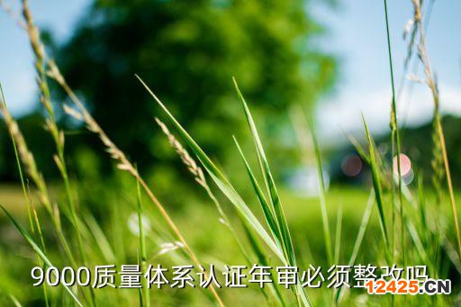 9000質量體系認證年審必須整改嗎